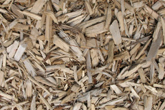 biomass boilers Bourne Valley
